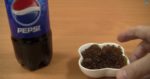 なぜ作る？ロシア人が教えるペプシでキャビアを作る方法