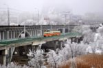 ロシアやウクライナで2014年に撮影された路面電車やトロリーバスの写真