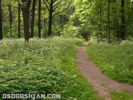 モスクワ植物園の入口