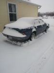 なんと手間のかかることを…　雪をつかたいたずらおそロシア