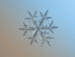 ロシア人「雪の結晶とその撮影方法を見てみよう！」