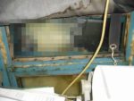 おそロシア！起きたら目の前にシロクマが・・・！