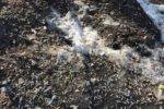 ロシアの春、雪が溶けた後に出てくるもの