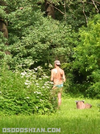 モスクワ植物園で日光浴する人々